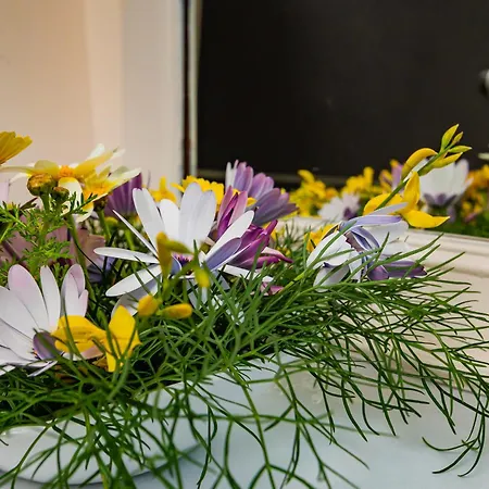 Apartment Chloe With The Sunset