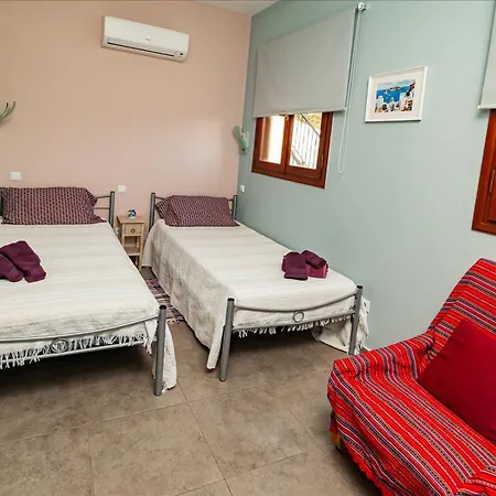 Chloe With The Sunset Myrties